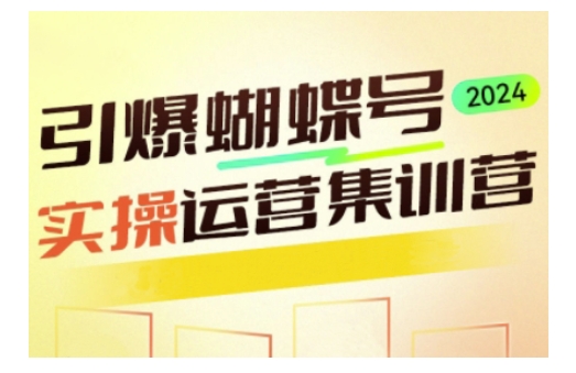 引爆蝴蝶号实操运营，助力你深度掌握蝴蝶号运营，实现高效实操，开启流量变现之路-林文副业站