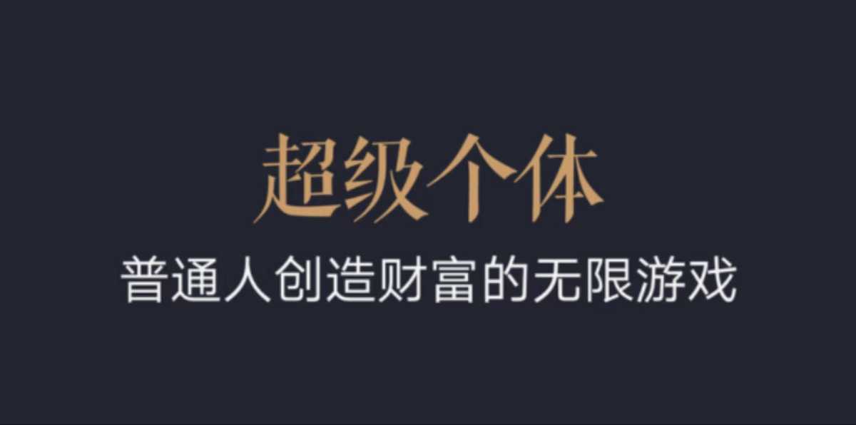 超级个体：2024-2025翻盘指南，普通人创造财富的无限游戏-林文副业站