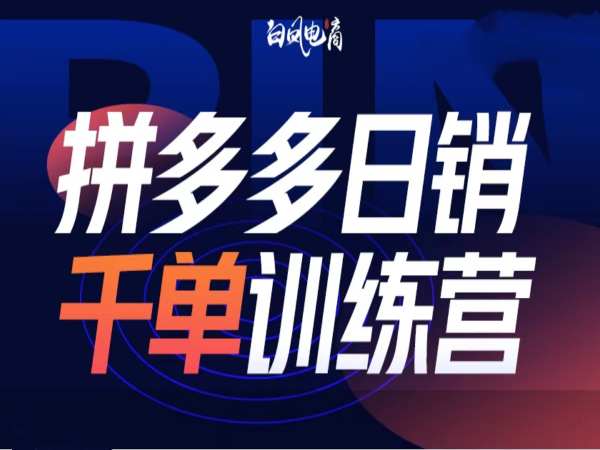 拼多多日销千单训练营第32期，2025开年变化和最新玩法-林文副业站