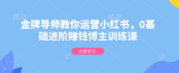 金牌导师教你运营小红书，0基础进阶赚钱博主训练课-林文副业站