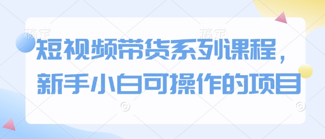 短视频带货系列课程，新手小白可操作的项目-林文副业站