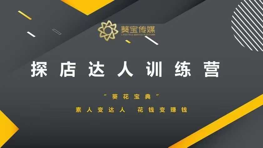 探店达人训练营，素人变达人，花钱变赚钱-林文副业站