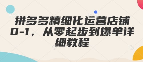 拼多多精细化运营店铺0-1，从零起步到爆单详细教程-林文副业站