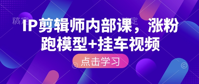 IP剪辑师内部课，涨粉跑模型+挂车视频-林文副业站