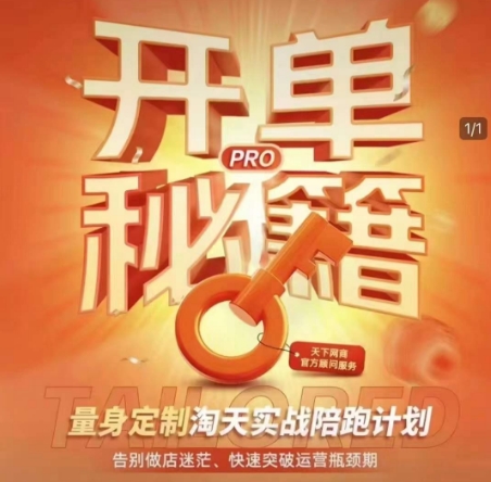 淘宝开单秘籍PRO，量身定制淘天实战陪跑计划，告别做店迷茫、快速突破运营瓶颈期-林文副业站