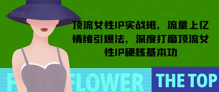 顶流女性IP实战班，流量上亿情绪引爆法，深度打磨顶流女性IP硬核基本功-林文副业站