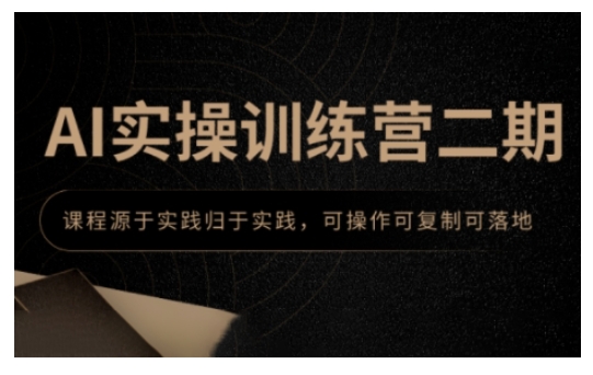 AI实操训练营二期，课程源于实践归于实践，可操作可复制可落地-林文副业站