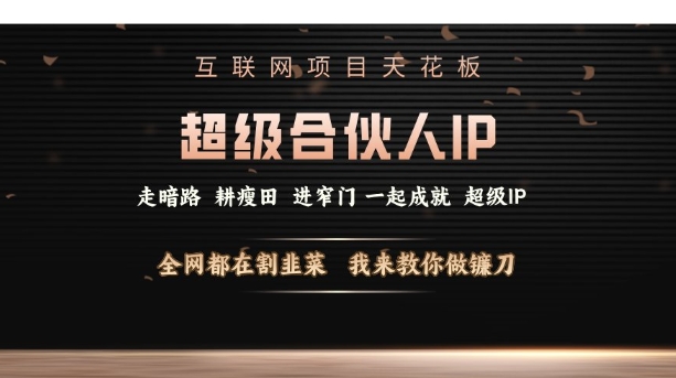 互联网项目天花板，超级合伙人IP，全网都在割韭菜，我来教你做镰刀【仅揭秘】-林文副业站