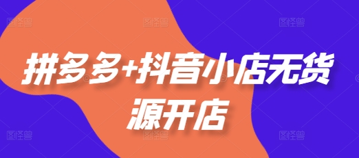 拼多多+抖音小店无货源开店，包括：选品、运营、基础、付费推广、爆款案例等(更新25年1月)-林文副业站
