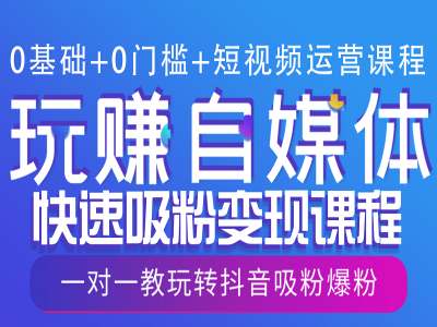 0基础+0门槛+短视频运营课程，玩赚自媒体快速吸粉变现课程，一对一教玩转抖音吸粉爆粉-林文副业站