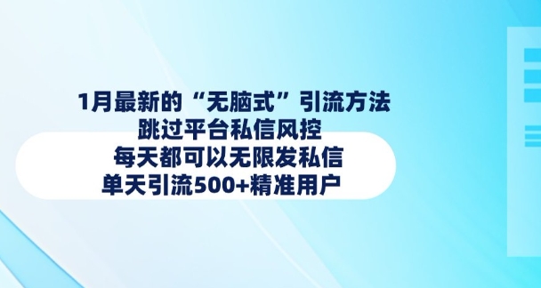 1月最新的无脑式引流方法，跳过平台私信风控，每天都可以无限发私信，单天引流500+精准用户-林文副业站