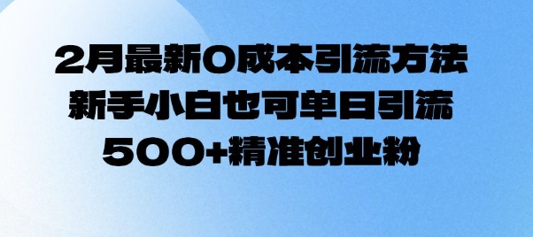 2月最新0成本引流方法，新手小白也可单日引流500+精准创业粉-林文副业站