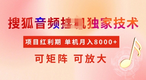 全网首发搜狐音频挂JI独家技术，项目红利期，可矩阵可放大，稳定月入8k【揭秘】-林文副业站