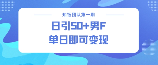 男粉引流新方法不违规，当日即可变现-林文副业站