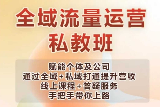 全域流量运营操盘课，赋能个体及公司通过全域+私域打通提升营收-林文副业站