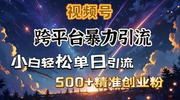 跨平台暴力引流，私域完美闭环，日引500+精准创业粉-林文副业站