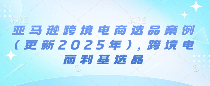 亚马逊跨境电商选品案例(更新2025年2月)，跨境电商利基选品-林文副业站