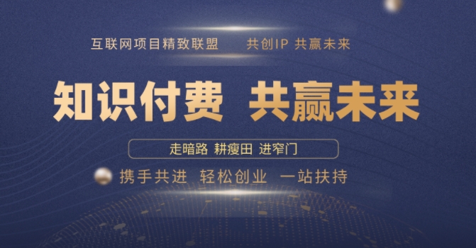 别人苦寻无果，为何他们靠知识付费卖项目 2025 年轻松年入100个?【揭秘】-林文副业站