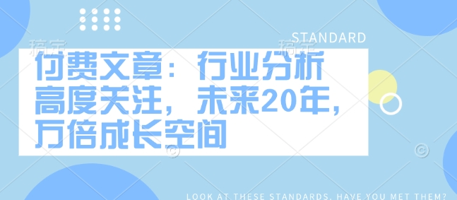 付费文章：行业分析 高度关注，未来20年，万倍成长空间-林文副业站