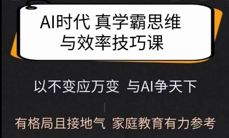 Ai时代真学霸思维与学习方法课，有格局且接地气，家庭教育有力参考-林文副业站
