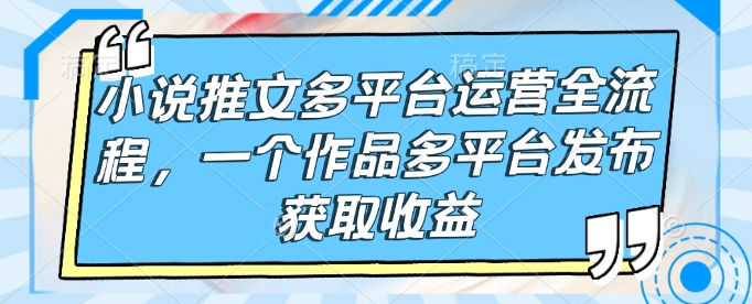 小说推文多平台运营全流程，一个作品多平台发布获取收益-林文副业站