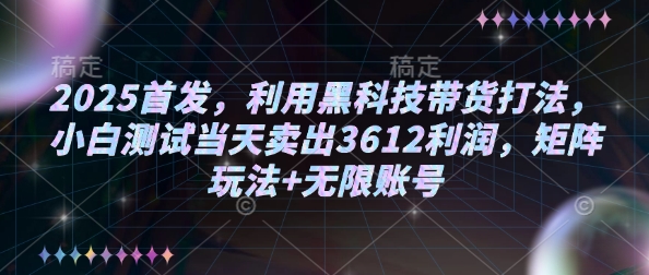 2025首发，利用黑科技带货打法，小白测试当天卖出3612利润，矩阵玩法+无限账号【揭秘】-林文副业站