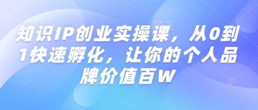 知识IP创业实操课，从0到1快速孵化，让你的个人品牌价值百W-林文副业站