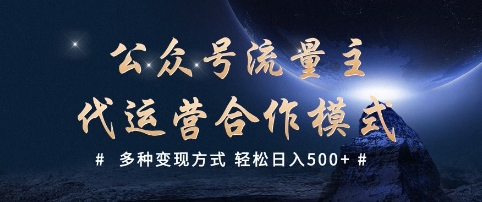 公众号流量主代运营  多种变现方式 轻松日入5张【揭秘】-林文副业站