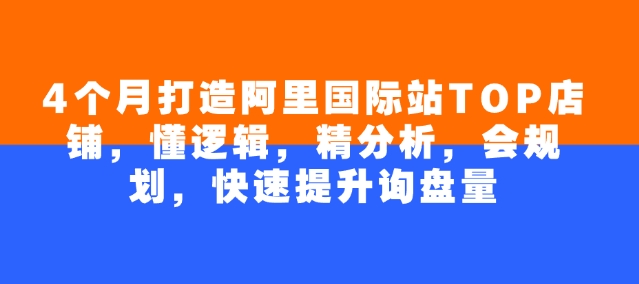 4个月打造阿里国际站TOP店铺，懂逻辑，精分析，会规划，快速提升询盘量-林文副业站