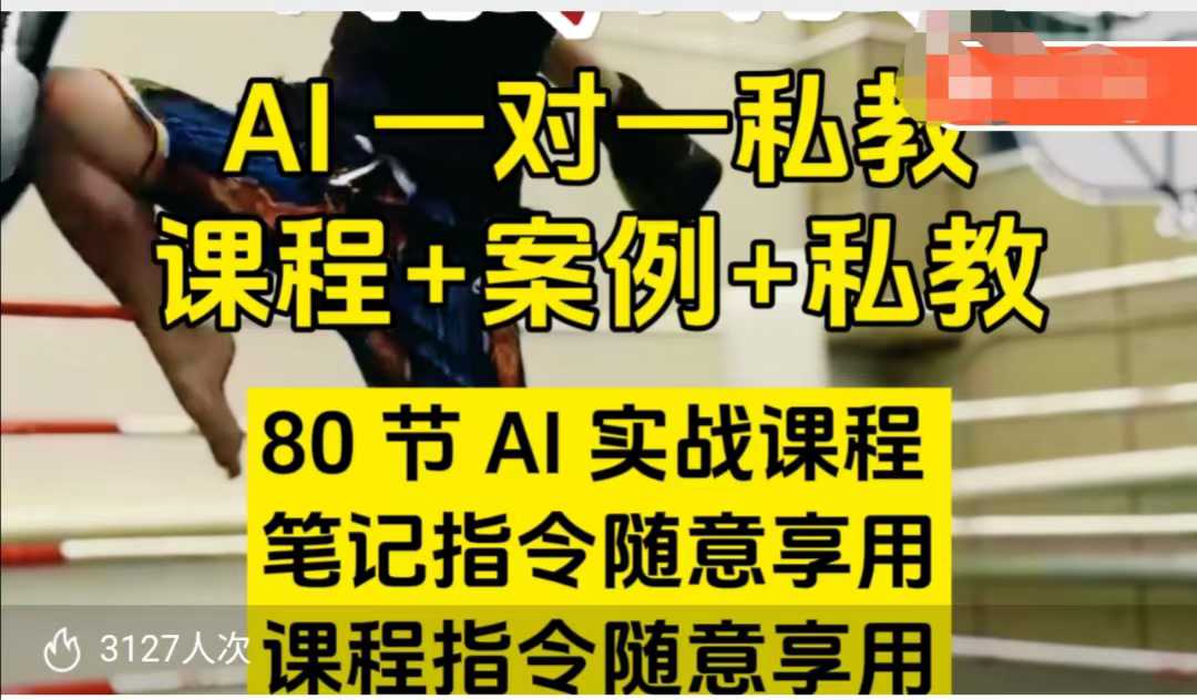 AI指令实战课，课程+案例，80节AI实战课程，笔记指令随意享用，课程指令随意享用-林文副业站