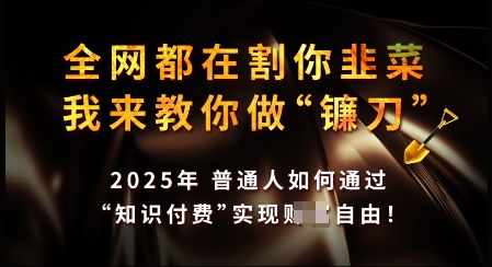 知识付费如何做到月入过W+，2025我来教你做“镰刀”【揭秘】-林文副业站