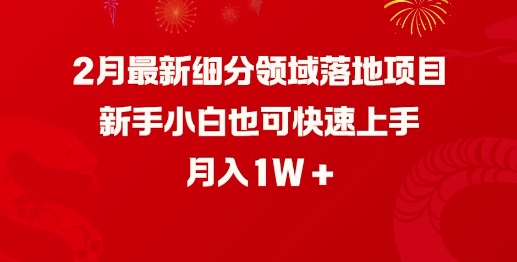 2月最新细分领域落地项目，新手小白也可快速上手，月入1W-林文副业站