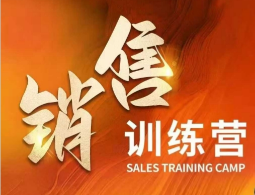 销售训练营，直接销售核心本质，助力财富增长-林文副业站