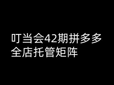 叮当会拼多多打爆班原创高阶技术第42期，拼多多全店托管矩阵-林文副业站
