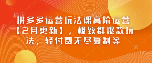 拼多多运营玩法课高阶运营【2月更新】，极致群爆款玩法，轻付费无尽复制等-林文副业站