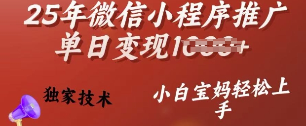 25年微信小程序推广单日变现多张，独家技术，小白宝妈轻松上手【揭秘】-林文副业站