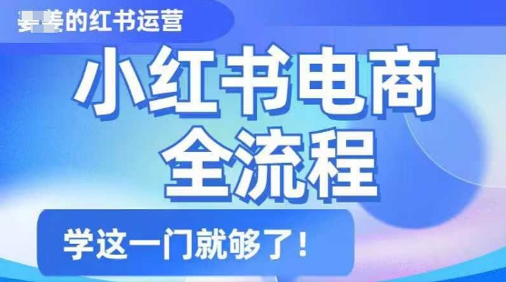 小红书电商全流程，精简易懂，从入门到精通，学这一门就够了-林文副业站