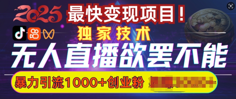 欲罢不能的无人直播引流，超暴力日引流1000+高质量精准创业粉-林文副业站