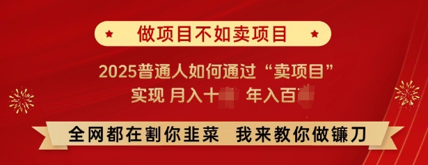 必看，做项目不如卖项目，2025普通人如何通过“卖项目”实现月入十个，年入百个-林文副业站