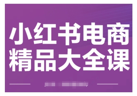 小红书电商精品大全课，快速掌握小红书运营技巧，实现精准引流与爆单目标，轻松玩转小红书电商-林文副业站