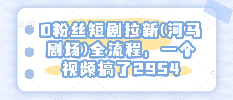 0粉丝短剧拉新(河马剧场)全流程，一个视频搞了2954-林文副业站