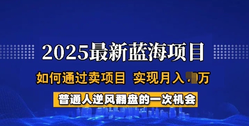 2025蓝海项目，普通人如何通过卖项目，实现月入过W，全过程【揭秘】-林文副业站