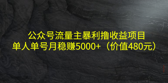 图片[1]-公众号流量主暴利撸收益项目，单人单号月稳赚5000+（价值480元）-林文副业站