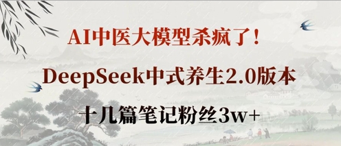 AI中医大模型杀疯了！DeepSeek中式养生2.0版本，十几篇笔记粉丝3w+-林文副业站