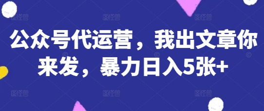 公众号代运营，我出文章你来发，暴力日入5张+【揭秘】-林文副业站