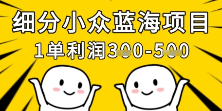 细分小众蓝海项目，一单利润3张，每月收入稳定过1w+-林文副业站