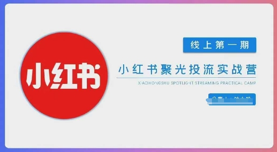 小红书聚光陪跑第一期，教你从0到1玩转小红书聚光投流，搭建小红书付费投流团队，更快的见到效果-林文副业站