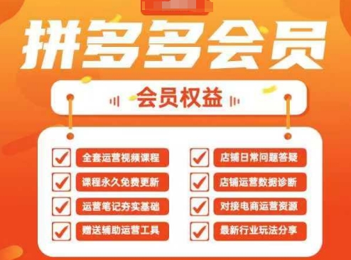 2025拼多多运营实战课，40节全流程教学，覆盖拼多多运营全链路-林文副业站
