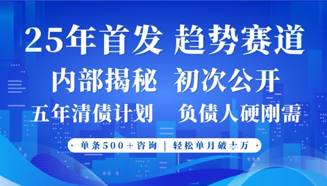 2025年首次公开，真正的事业型赛道，客咨不断，单月轻松破W-林文副业站