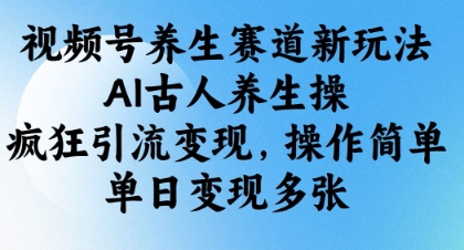 视频号养生赛道新玩法，AI古人养生操，疯狂引流变现，操作简单，单日变现多张-林文副业站